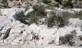 Tour Wandern Vauvenargues - les cabassols le Prieuré - Photo 2