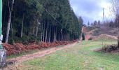 Trail Walking Malmedy - Malmedy - Photo 1