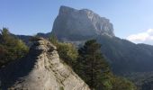 Excursión Senderismo Saint-Agnan-en-Vercors - Tour du Grand Veymont  - Photo 2