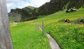 Trail On foot Campitello di Fassa - IT-E532 - Photo 9