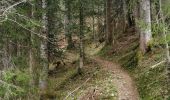 Percorso Camminata nordica Val-de-Charmey - Treek charmey au lac noir.  - Photo 18