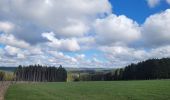 Tour Wandern Hohenfels - rando cetturu - Photo 16