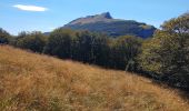 Tour Wandern Omblèze - roc de Toulaud /tête de la Dame / mur des Chartreux - Photo 2