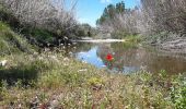 Excursión Senderismo Le Cannet-des-Maures - les escarcets le 07 05 2021 - Photo 5