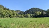 Tour Wandern Sainte-Sigolène - ste sigolene - boucle de vaubarlet - Photo 1