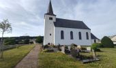 Tour Wandern Weinsheim - Weinsheim - Photo 1