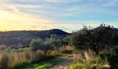 Trail Walking Le Revest-les-Eaux - Boucle Ripelle - Mont Combes - Tourris - Ripelle - Photo 4