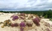 Randonnée Marche Larchant - Larchant la Féérique  - Photo 13