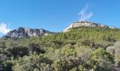 Excursión Senderismo La Farlède - sommet du Coudon en partant de La Farlède - Photo 6