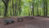 Excursión Senderismo Seraing - ptit tour par les ptits chmins du bois de sraing - Photo 10