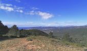 Tour Wandern Ceyreste - Grand Caunet, télégraphe, revers du Bosquié - Photo 5