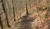 Tocht Stappen Stavelot - Stavelot- Chemin des source  14 Km - Photo 7