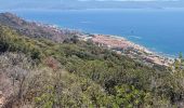 Tour Zu Fuß Ajaccio - Sentier des Crêtes Ajaccio et Grotte Napoléon - Photo 17