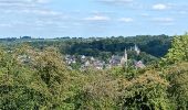 Randonnée Marche Neupré - contreforts de la boucle de l’ourthe - Photo 14