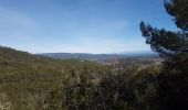 Randonnée Trail Nans-les-Pins - Sources de l'Huveaune par le chemin des Roys - Photo 1