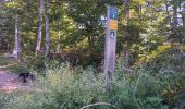 Tour Wandern Izeron - La lunette- fontaine et grotte de Byry - Photo 16