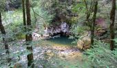 Excursión Senderismo Hauts de Bienne - Le Trou Bleu 11.7.23 - Photo 2