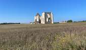 Tocht Stappen La Flotte - Île de Ré  la flotte - Photo 13