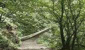 Trail Walking Liège - fayenbois . jupille . xhavée . haute saive . nifiet . fayembois - Photo 2