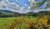 Tocht Stappen Stoumont - rando la gleize 20/05/2021 - Photo 9