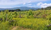 Randonnée Marche Mormoiron - Entre Vignes et Cerises - Photo 1