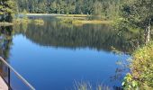 Tour Wandern Xonrupt-Longemer - Lac Longemer, Col de la Grande Basse,Rouge Feigne, Lac de Lispach - Photo 6