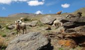 Tocht Te voet Capileira - Acequias del Poqueira - Photo 8