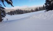 Randonnée Ski de fond Gex - Sonnaillyais - Photo 12