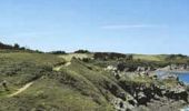 Tour Zu Fuß Cancale - la Pointe du Grouin 35 - Photo 1