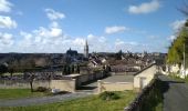 Trail Walking Loches - Loches inondations - Photo 3