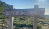 Tour Wandern Palneca - Col de Verde usciulu - Photo 13
