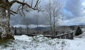 Trail Walking Cornimont - Col du Brabant - croix Louis par Mansuy et Boulaite - Photo 15