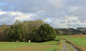 Trail On foot Dinant - Promenade de Walzin - Photo 4