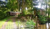 Tour Wandern Ramonchamp - Ferdrupt / Les etangs noirs / Chalet Grammont / Chalet de l'alouette  - Photo 4