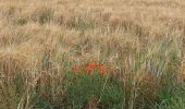 Tour Wandern Lisieux - Gare de Lisieux/St Cyr du Ronceray  - Photo 11