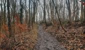 Trail Walking Esneux - pont de Hony . ferme de l'Oneux . Ham . Esneux . Avionpuits . Hony - Photo 6