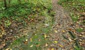 Trail Walking Vendôme - Petit parcours dans la partie Sud-est du Bois de l'Oratoire - Photo 7
