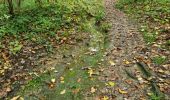 Randonnée Marche Vendôme - Petit parcours dans la partie Sud-est du Bois de l'Oratoire - Photo 7