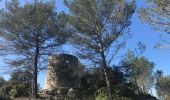 Tocht Te voet Fontvieille - Les moulins et l'aqueduc romain - Photo 7