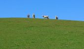 Tocht Stappen Chouvigny - La table de peraclos  - Photo 3