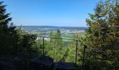 Tour Wandern Biffontaine - suuntoapp-Hiking-2024-05-11T06-27-07Z - Photo 3