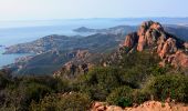 Trail Walking Saint-Raphaël - SityTrail - Pic de Cap Roux et la Grotte de Saint Baume - Photo 15