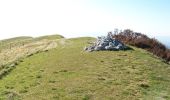 Trail Walking Omblèze - Plateau d'Ambel (le tour) - Photo 16