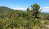 Trail Walking Le Triadou - tour triadou, st Jean de cuculles - Photo 6