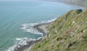 Excursión A pie Unknown - Paekakariki Escarpment - Photo 10