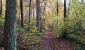 Randonnée Marche Esneux - Es eux rond de chêne  - Photo 6