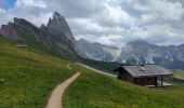 Tour Wandern St. Christina in Gröden - Col Raiser - Pieralonga - Seceda - Photo 19