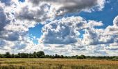 Tocht Te voet Henstedt-Ulzburg - Rundweg um Alsterniederung und Schlappenmoor - Photo 6