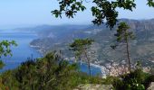 Excursión Senderismo Monterosso al Mare - Marche matinale - Photo 1