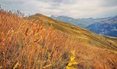 Trail Walking Orcières - Roc d’Alibrandes - Photo 5